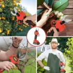 Akumulatorski sekator