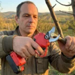 Bežične makaze za grane