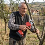 Makaze 21v za voćarstvo