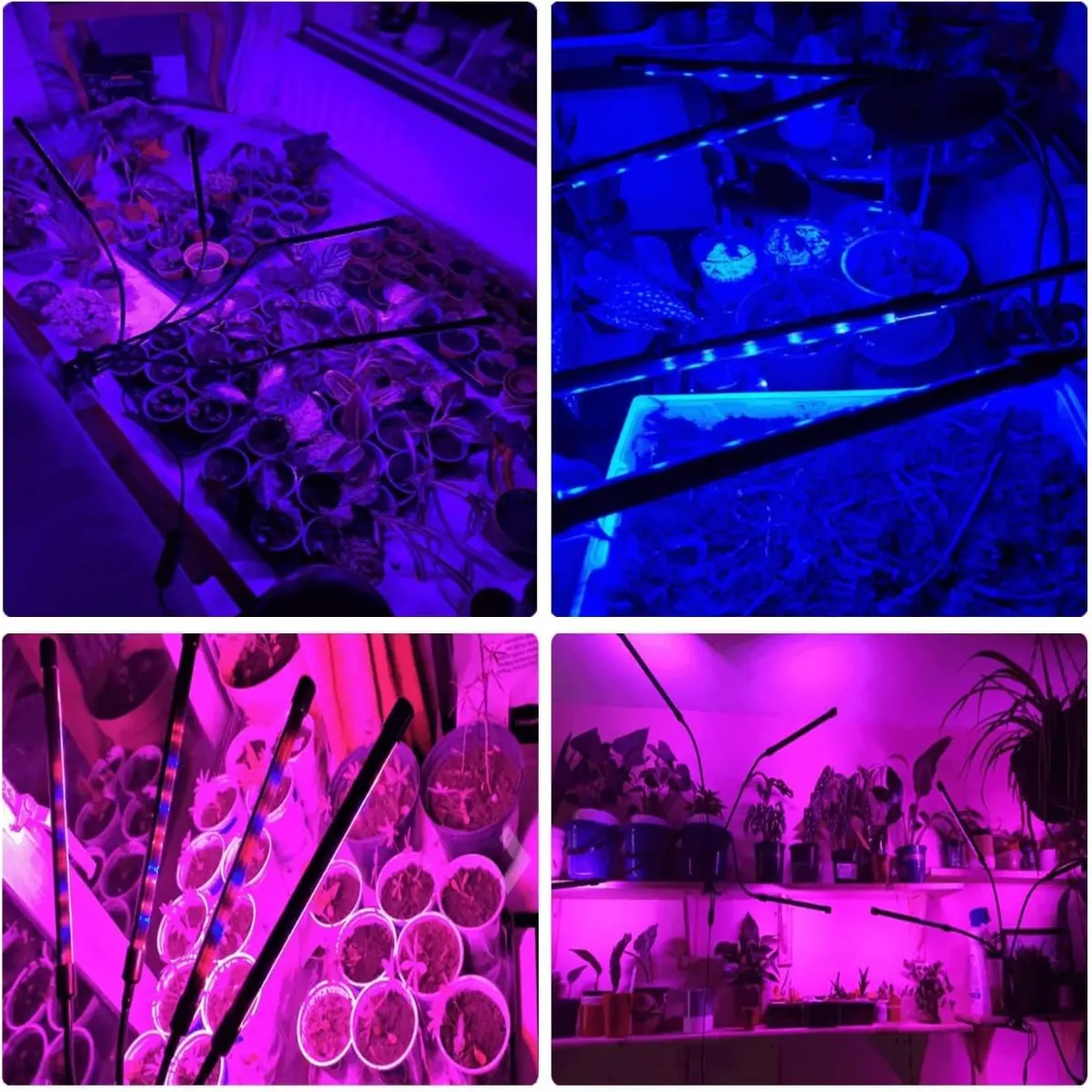 Svetlo za sobne biljke
